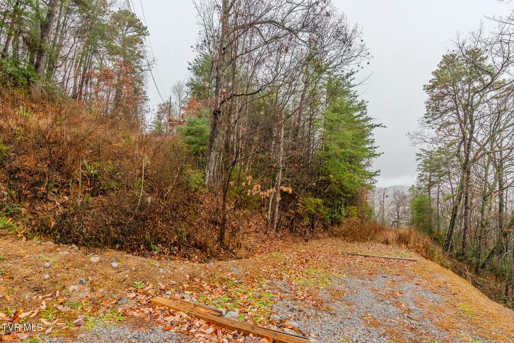 Photo of 4 Glenview Way, Sevierville, TN 37862 (MLS # 9989040)