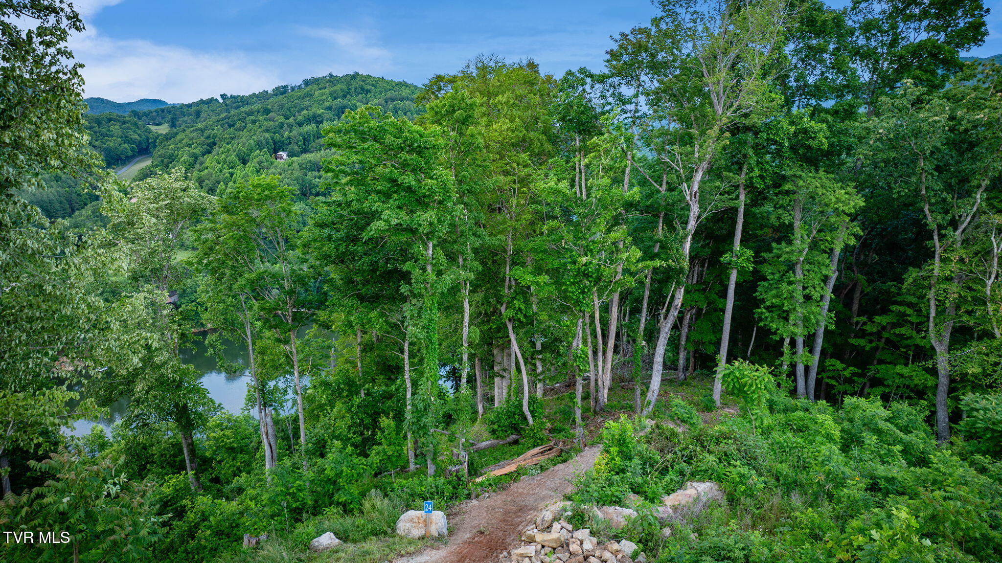 Lot 24 Cowan Town Road, Butler, Tennessee image 9
