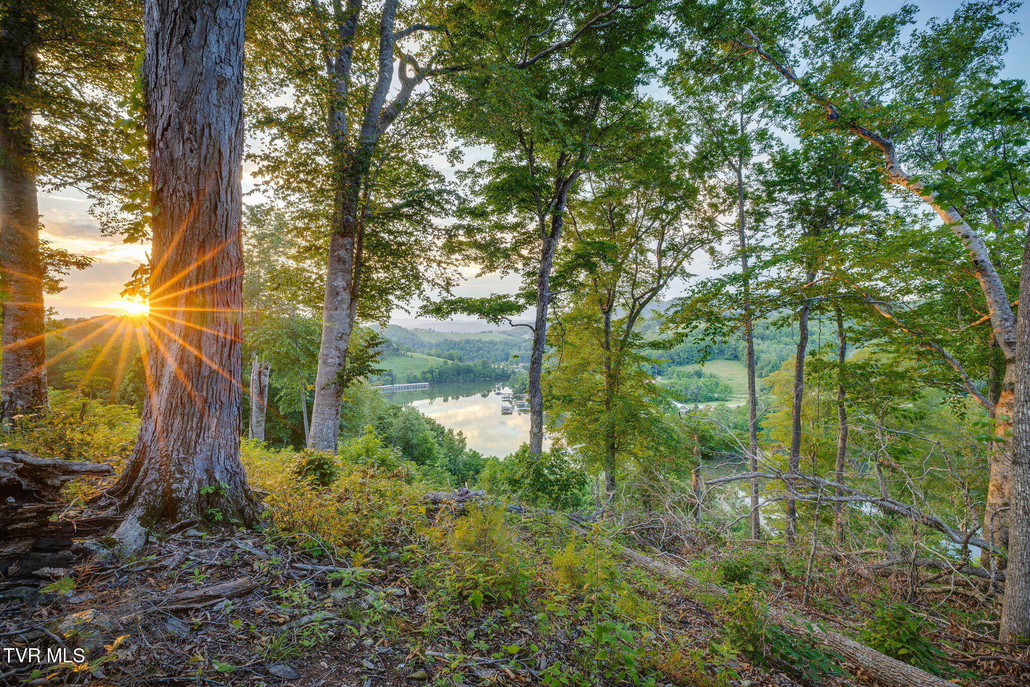 Lot 24 Cowan Town Road, Butler, Tennessee image 1