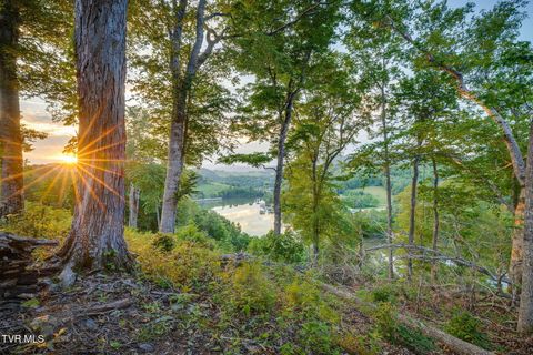 Vacant Land For Sale - LOT 24 Cowan Town Road<br/> Johnson County, Butler, TN 37640