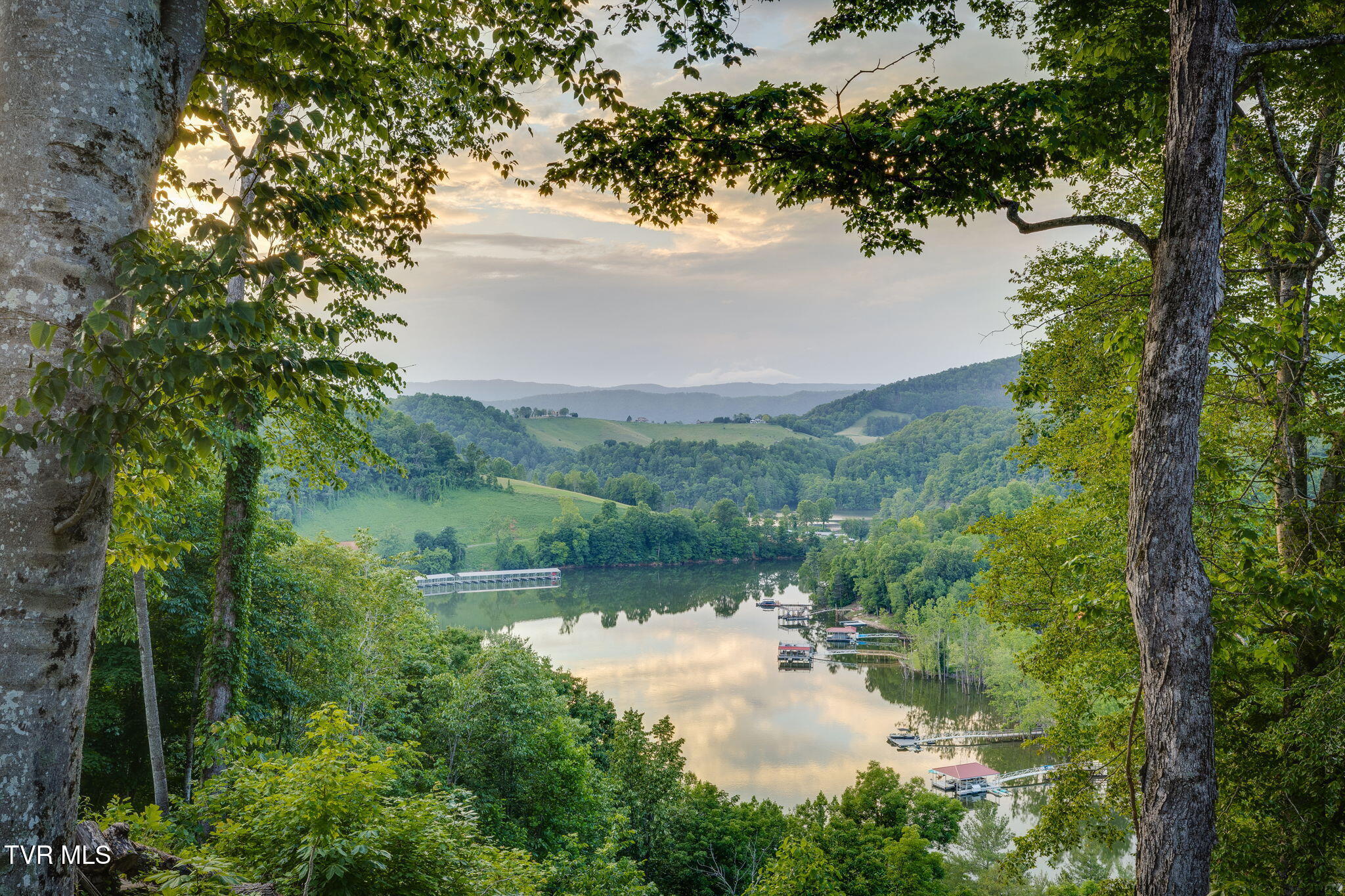Lot 24 Cowan Town Road, Butler, Tennessee image 10