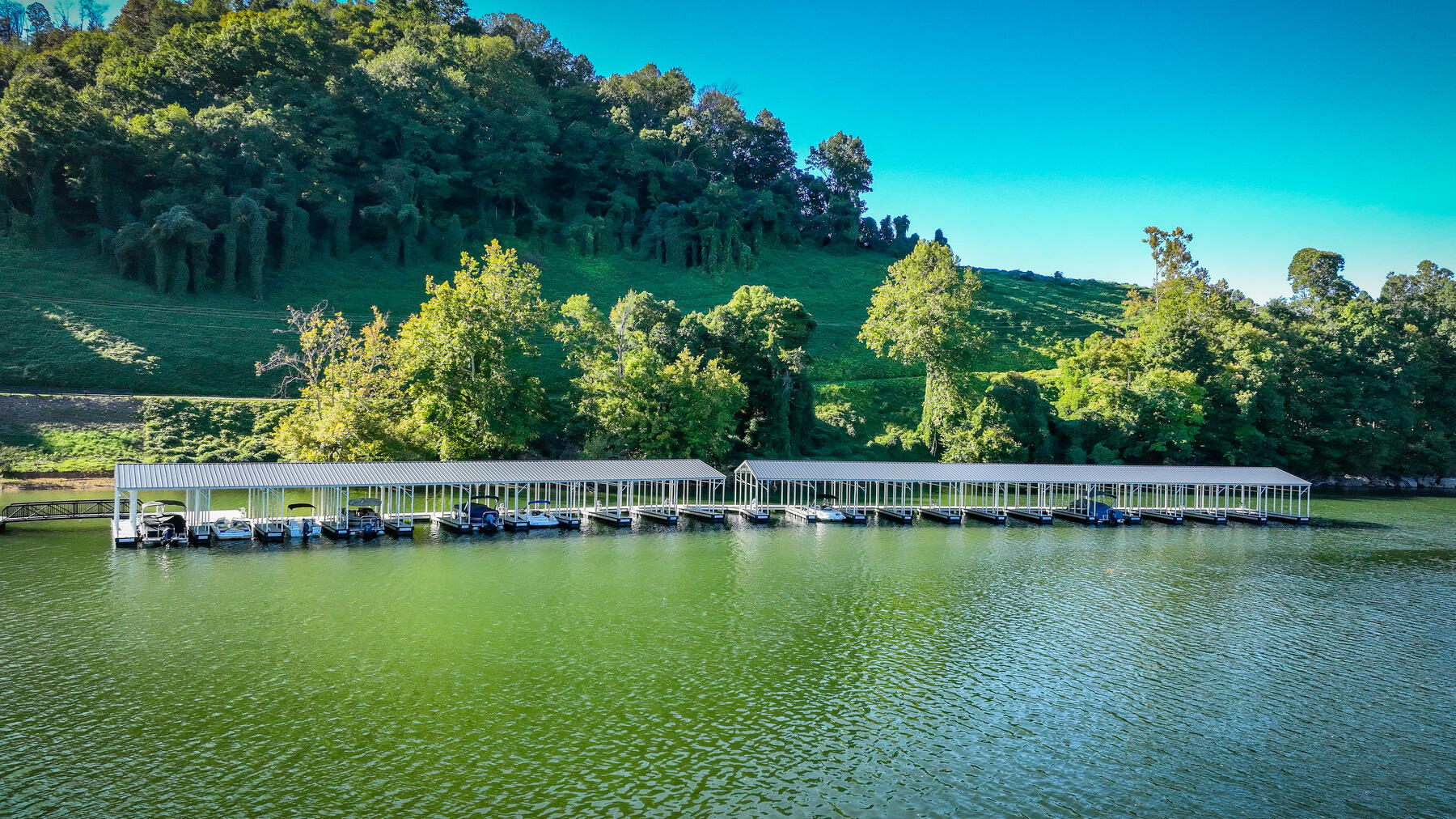 Lot 24 Cowan Town Road, Butler, Tennessee image 8