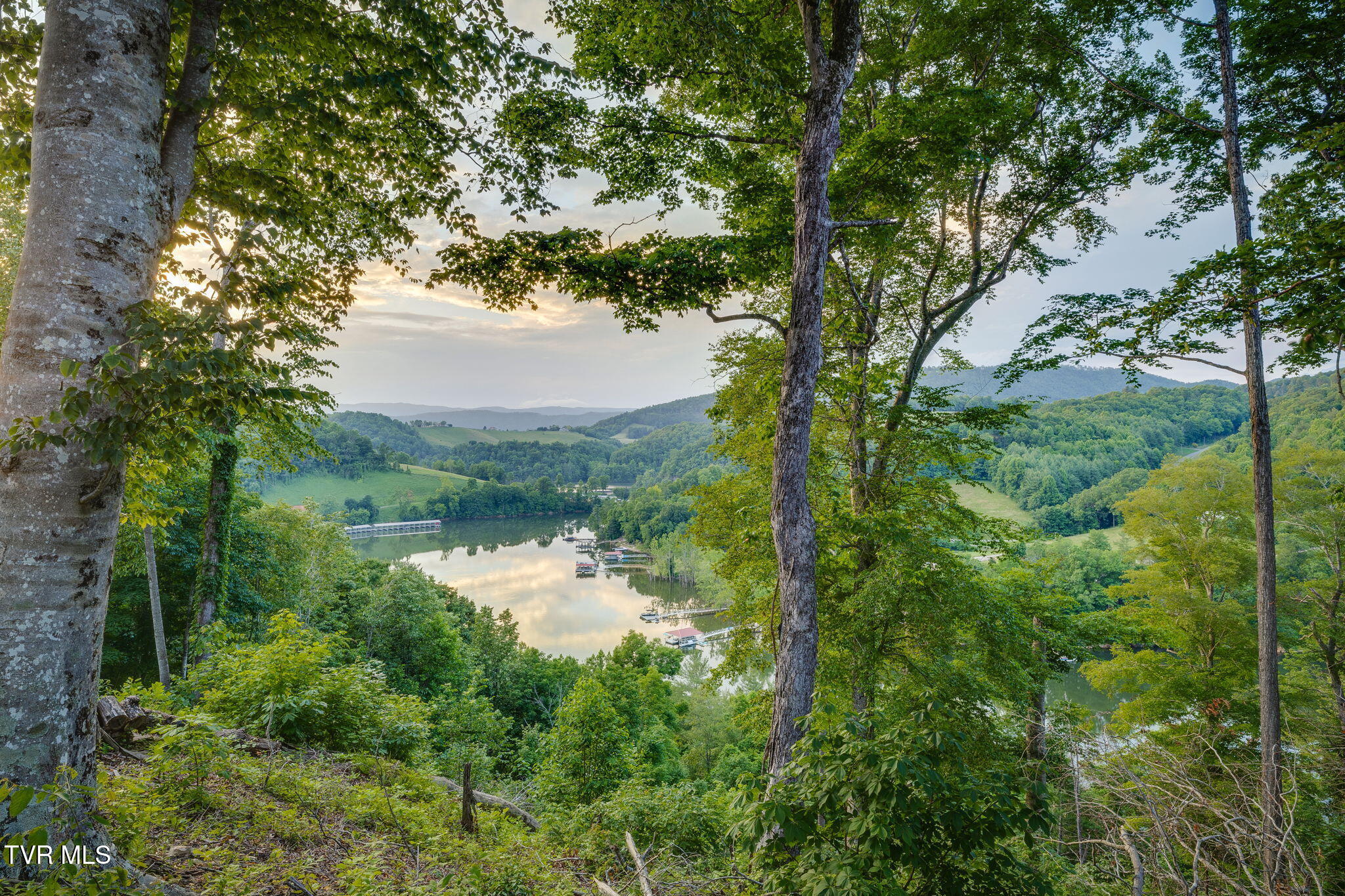 Lot 24 Cowan Town Road, Butler, Tennessee image 3