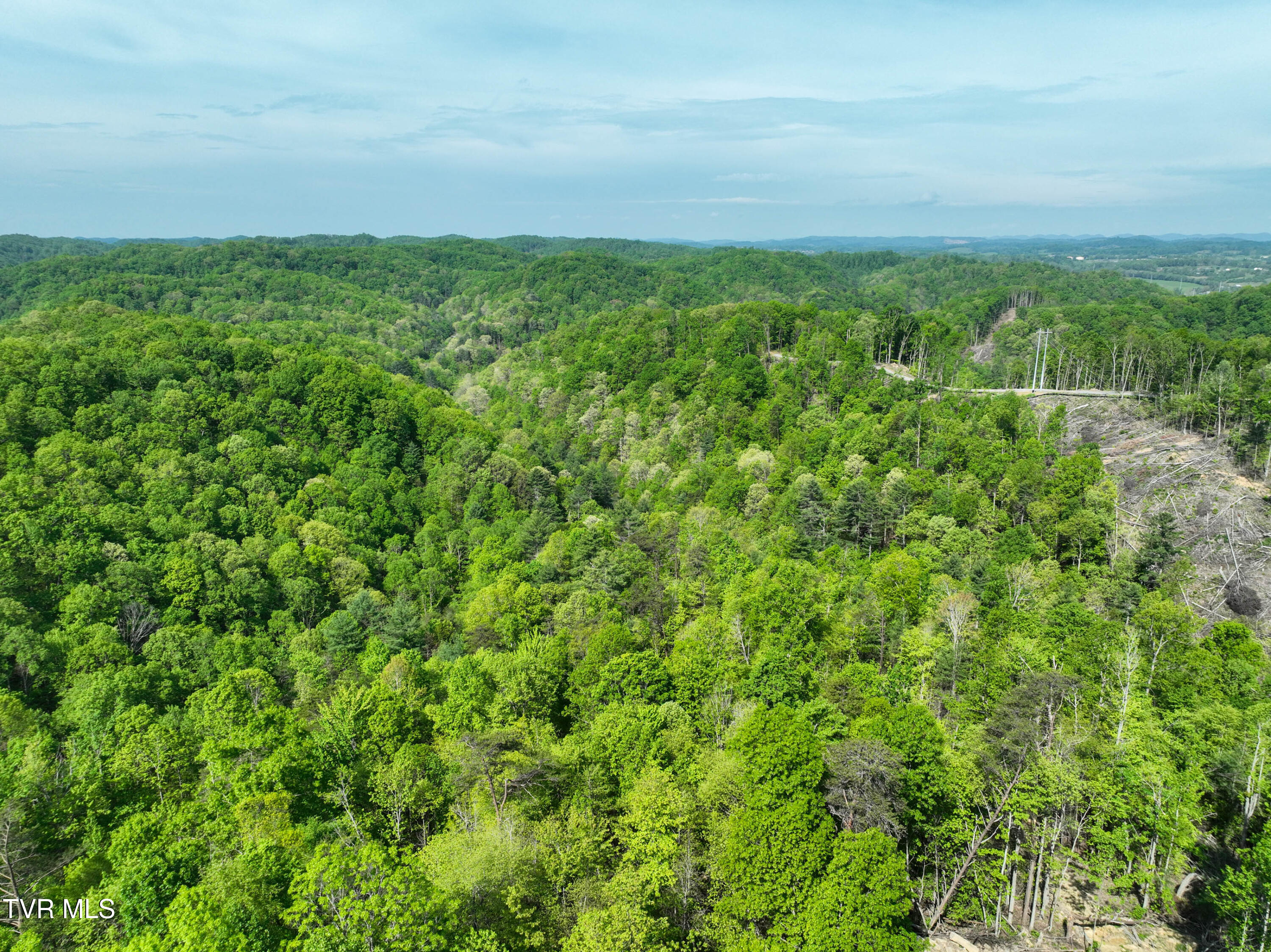 Tbd Green Springs Road, Abingdon, Virginia image 30