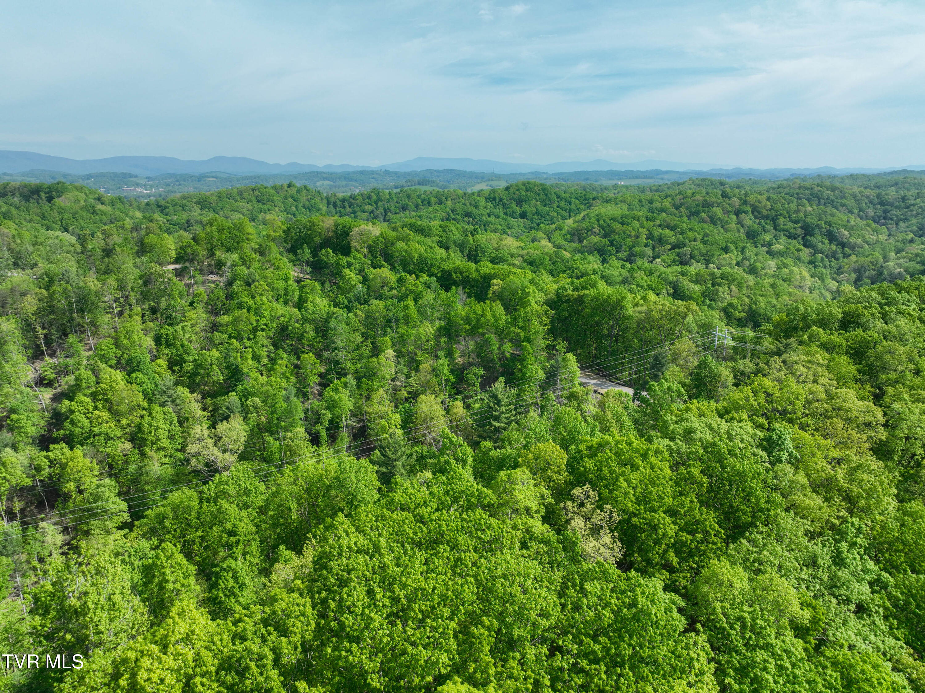 Tbd Green Springs Road, Abingdon, Virginia image 32