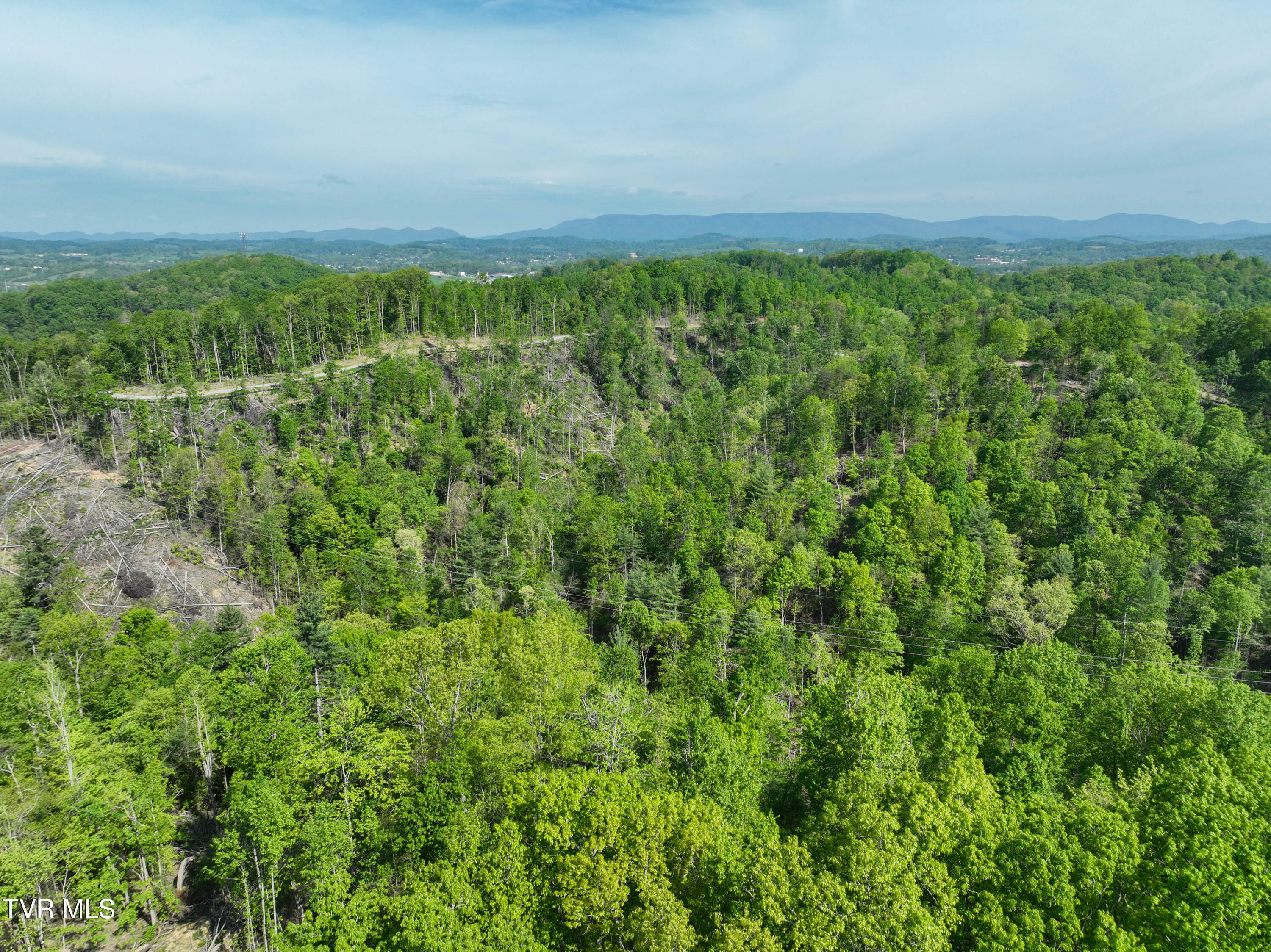 Tbd Green Springs Road, Abingdon, Virginia image 31