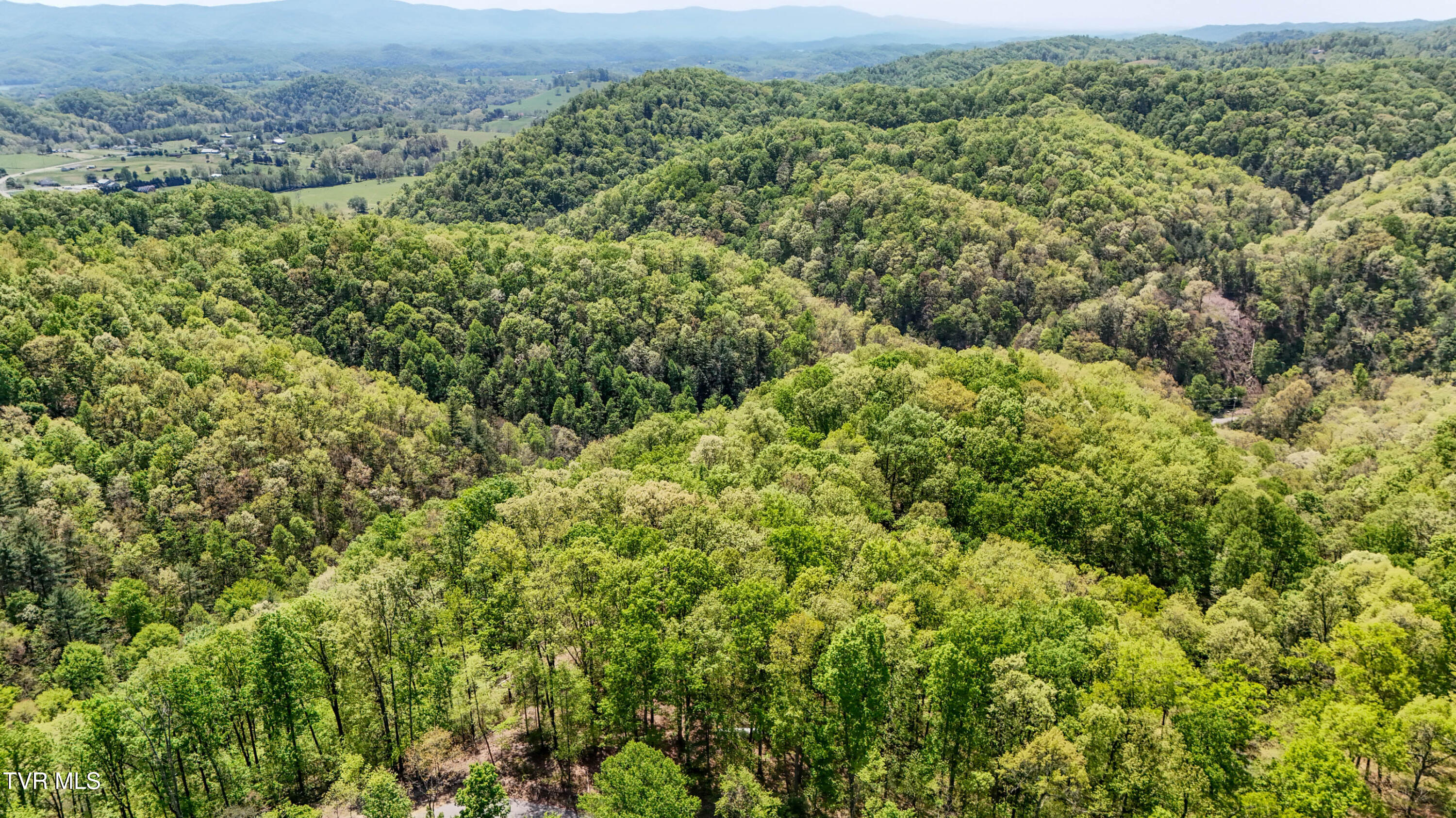 Tbd Green Springs Road, Abingdon, Virginia image 18