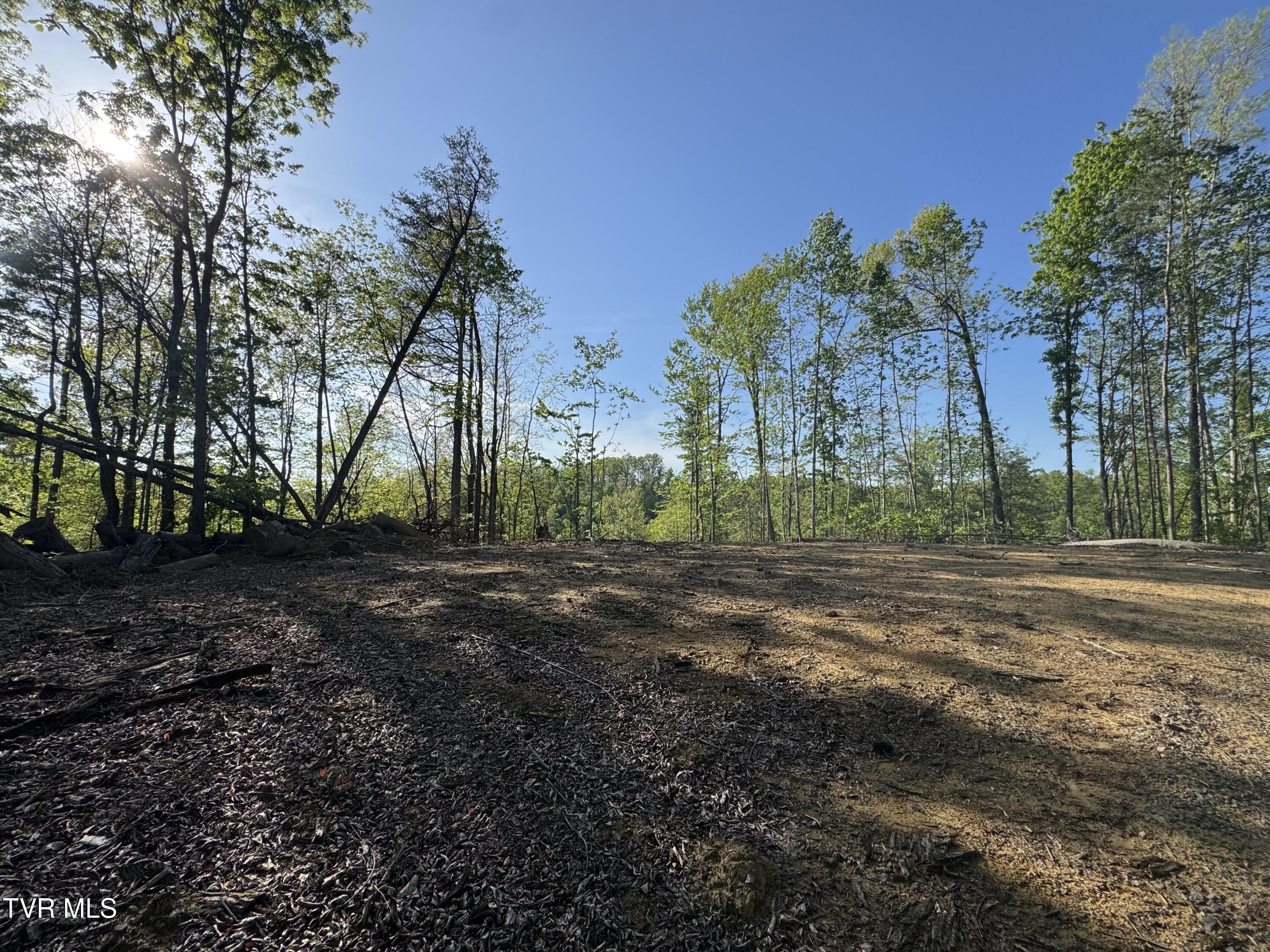 Tbd Green Springs Road, Abingdon, Virginia image 11