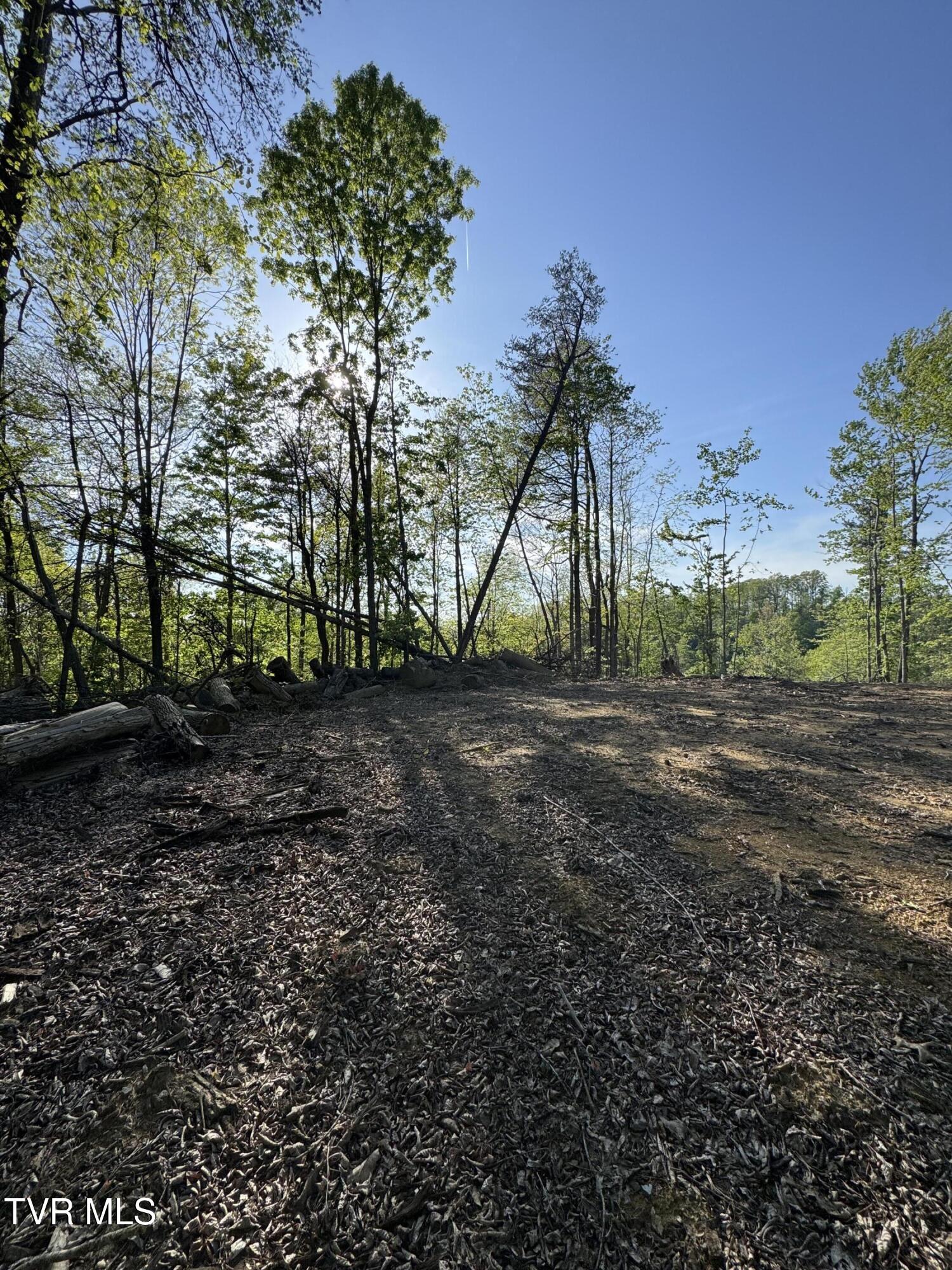 Tbd Green Springs Road, Abingdon, Virginia image 12