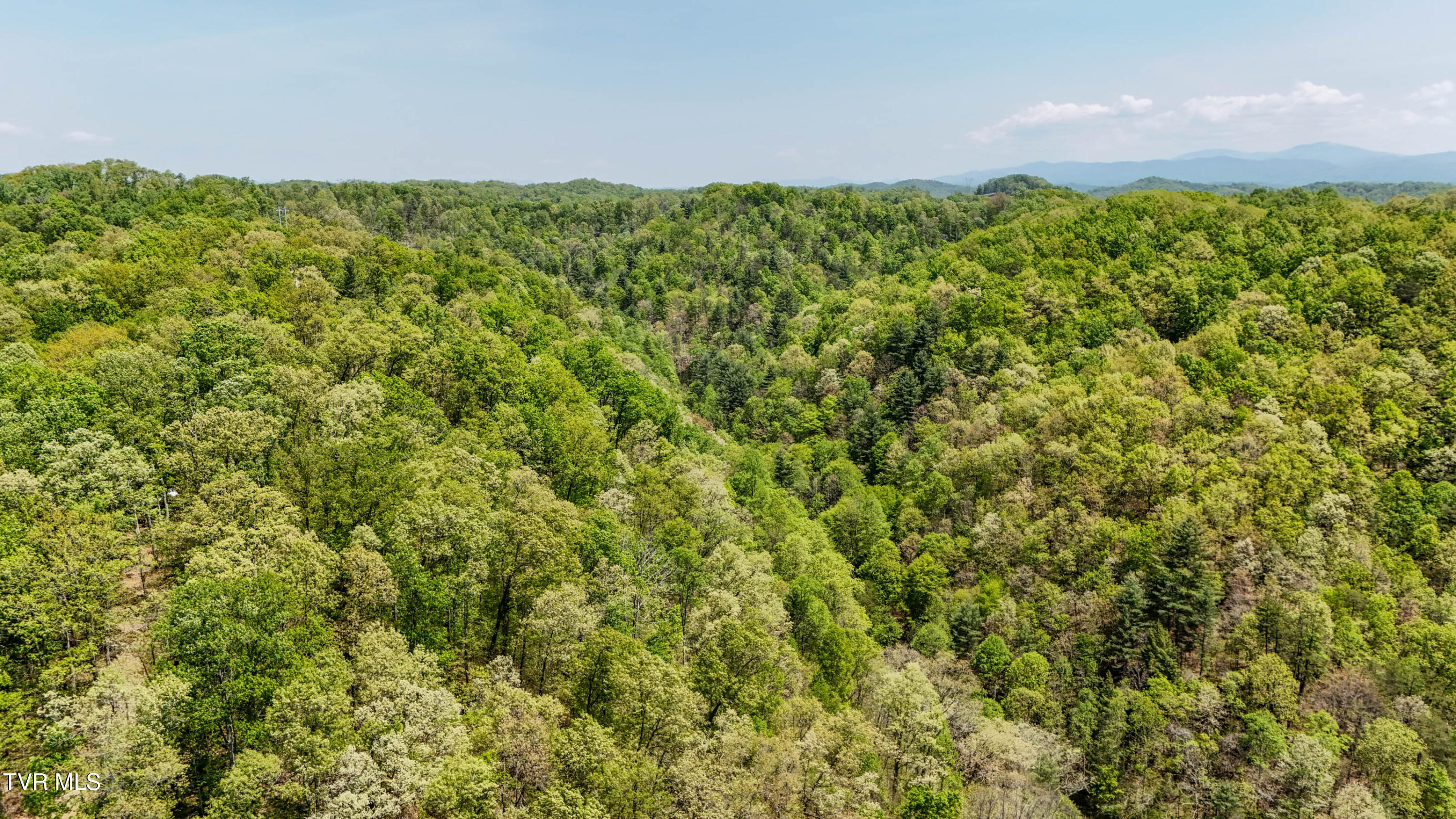 Tbd Green Springs Road, Abingdon, Virginia image 13