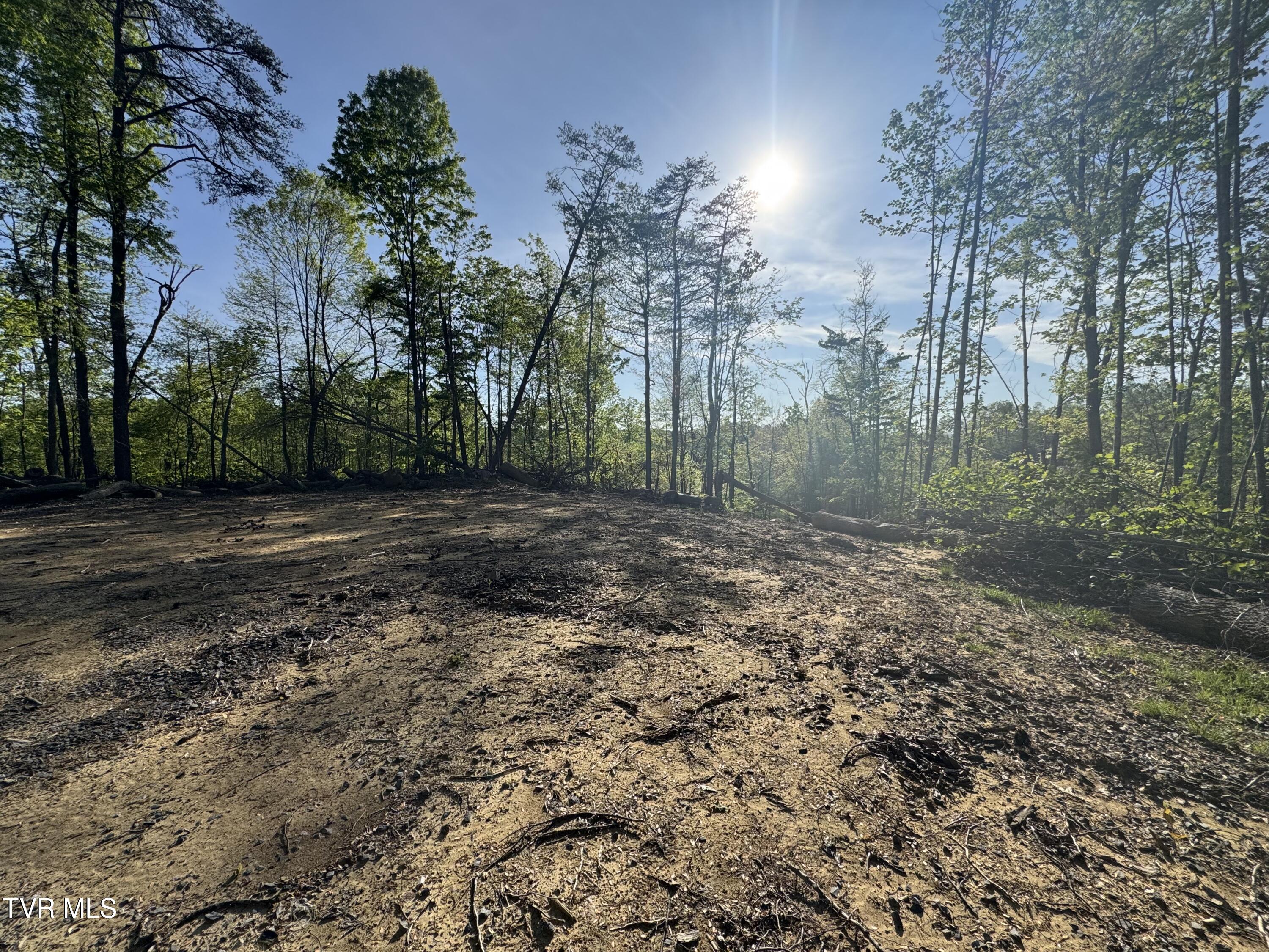Tbd Green Springs Road, Abingdon, Virginia image 10