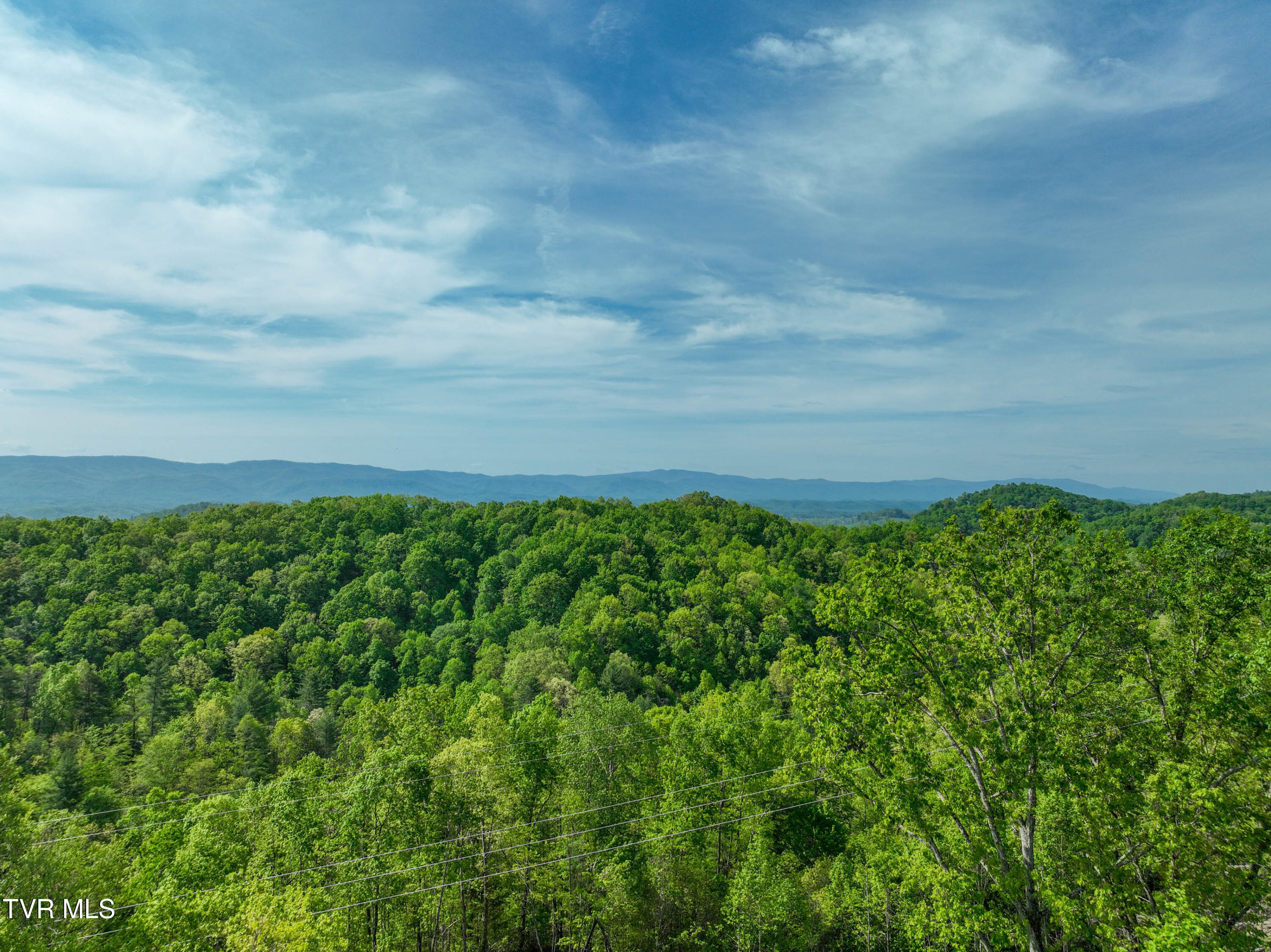 Tbd Green Springs Road, Abingdon, Virginia image 25