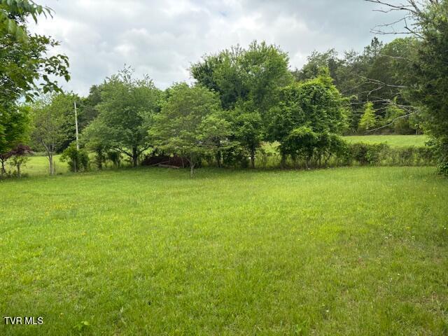 8415 Baileyton Road, Afton, Tennessee image 5