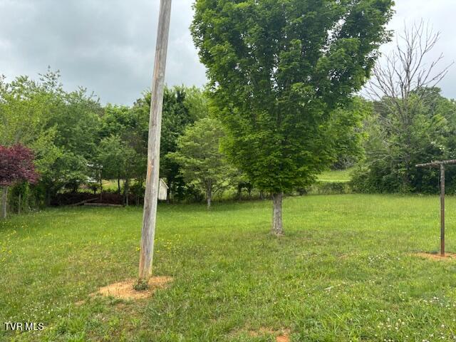 8415 Baileyton Road, Afton, Tennessee image 6