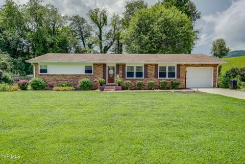 Photo of 115 Lancelot Drive, Elizabethton, TN 37643 (MLS # 9988703)