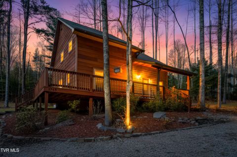 Photo of 1769 Dennis Cove Road, Hampton, TN 37658 (MLS # 9988482)