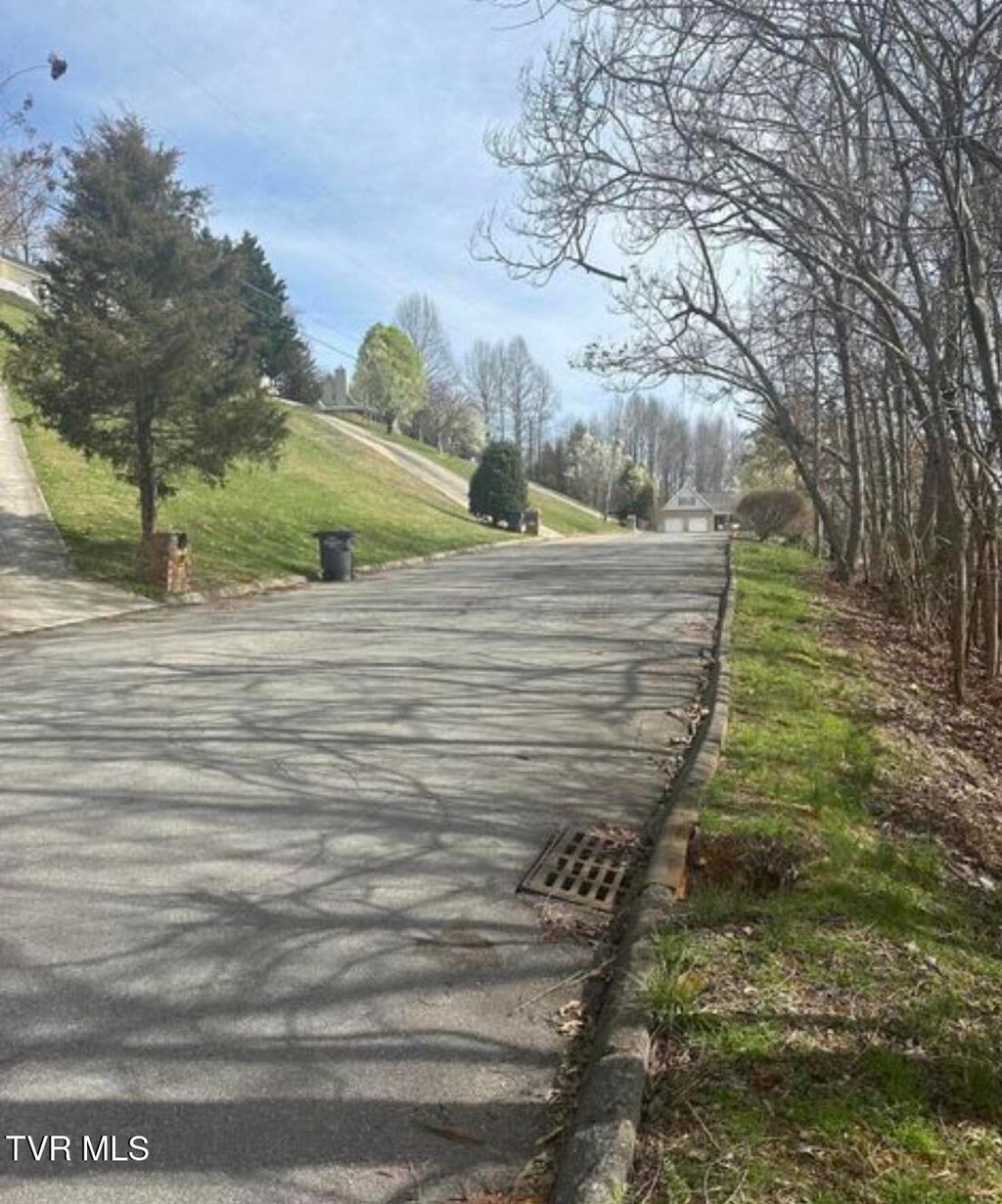 Photo of 322 Bayberry Drive, Kingsport, TN 37663 (MLS # 9989859)