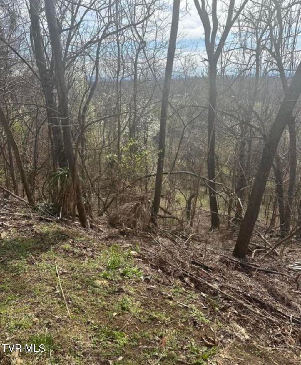 Photo of 322 Bayberry Drive, Kingsport, TN 37663 (MLS # 9989859)