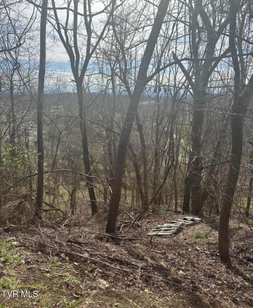 Photo of 322 Bayberry Drive, Kingsport, TN 37663 (MLS # 9989859)