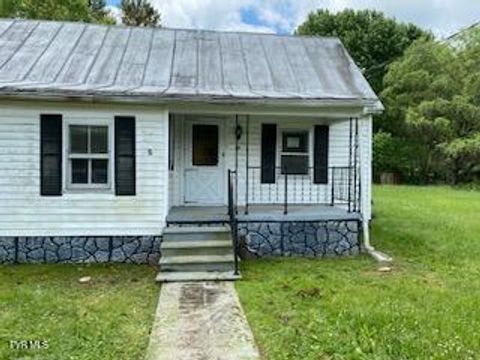 Photo of 242 Rambling Lane, Bluff City, TN 37618 (MLS # 9995059)