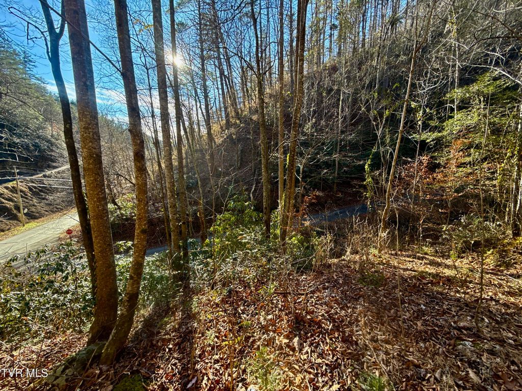 Photo of 431 Big Creek Road, Hartford, TN 37753 (MLS # 9989327)