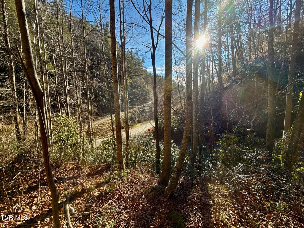 Photo of 431 Big Creek Road, Hartford, TN 37753 (MLS # 9989327)