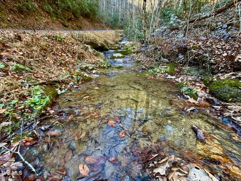 Vacant Land For Sale - 4/AC Big Creek Road<br/> Cocke County, Hartford, TN 37753
