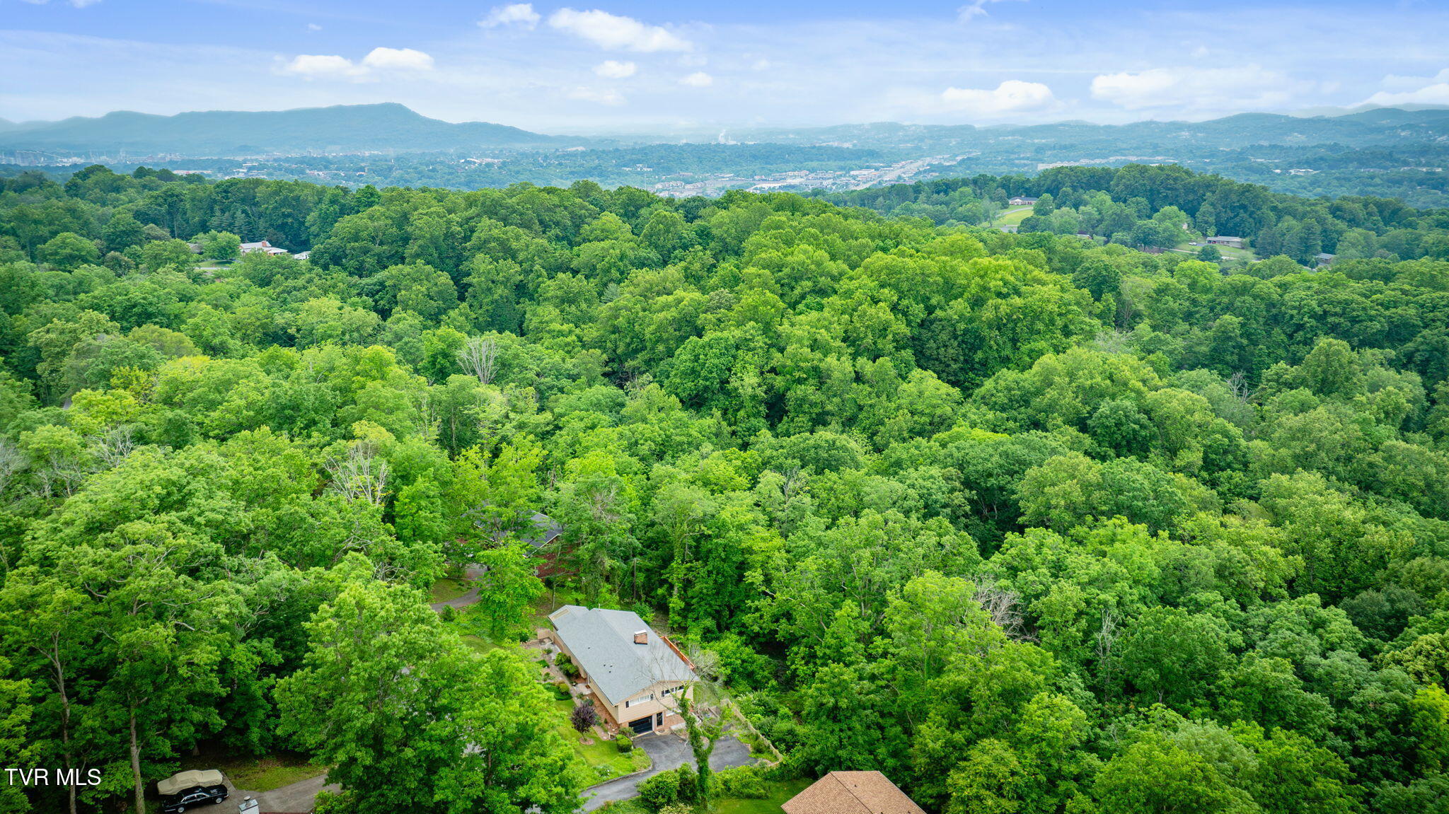 4534 Brookridge Drive, Kingsport, Tennessee image 49