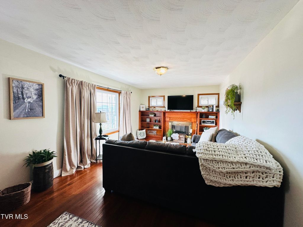 Photo of 265 Wilmeth Street, Weber City, VA 24290 (MLS # 9990091)