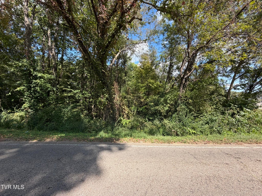 Photo of 00 Erwin Highway, Greeneville, TN 37745 (MLS # 10001678)