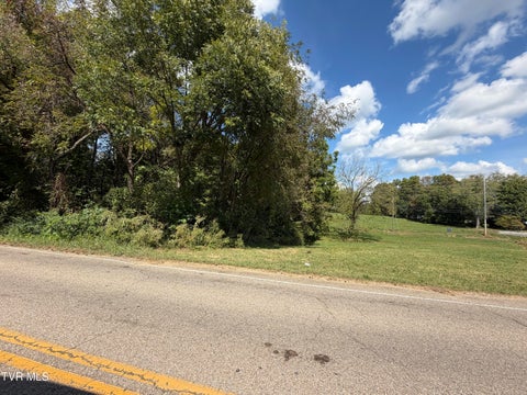 Vacant Land For Sale - 00 Erwin Highway<br/> Greeneville, TN 37745