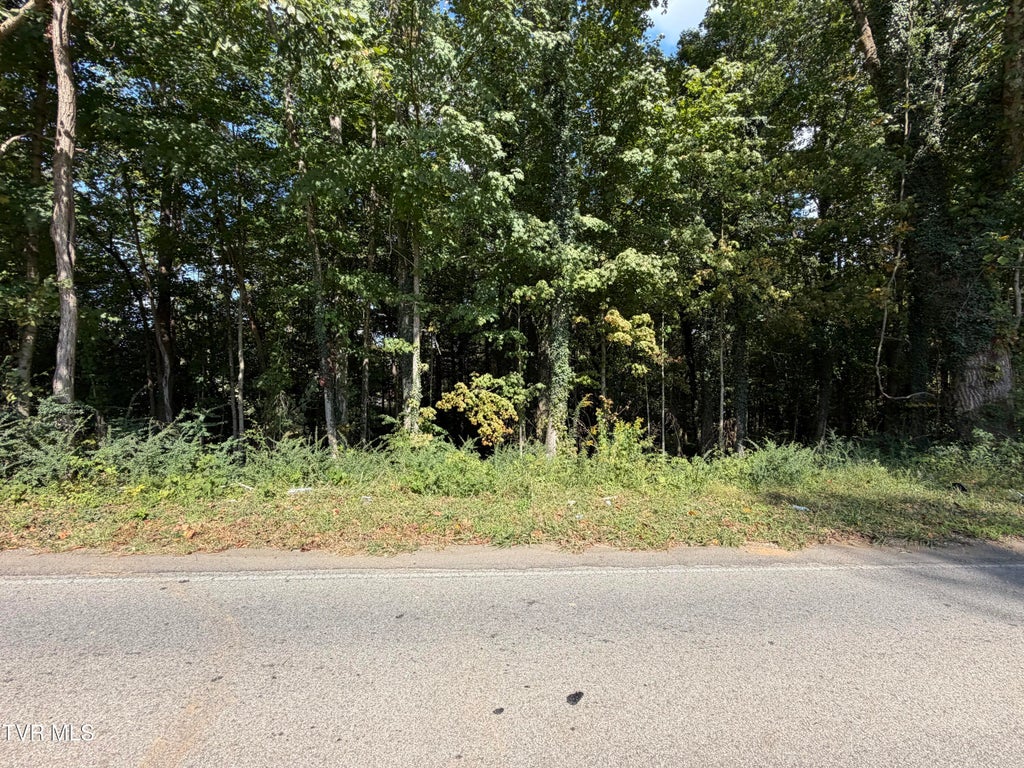 Photo of 00 Erwin Highway, Greeneville, TN 37745 (MLS # 10001678)