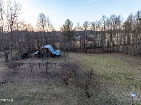 150 Miller Crossing Jonesborough TN 37659