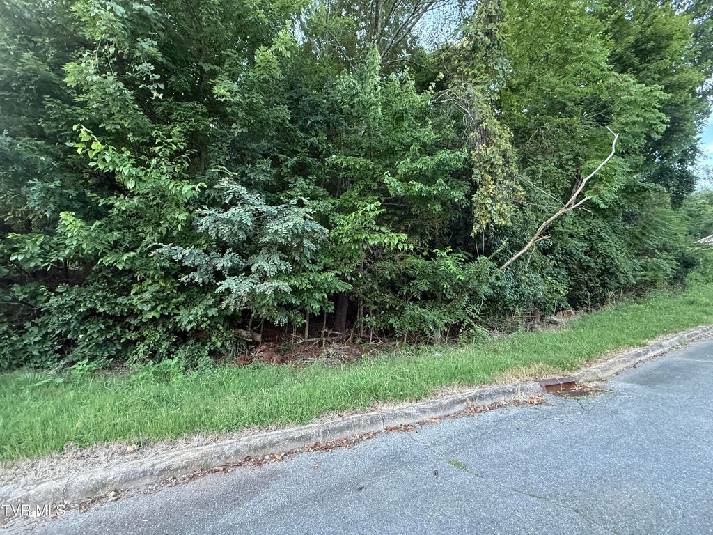 Photo of 0 Maywood &amp; Welch Drive, Kingsport, TN 37660 (MLS # 9984771)