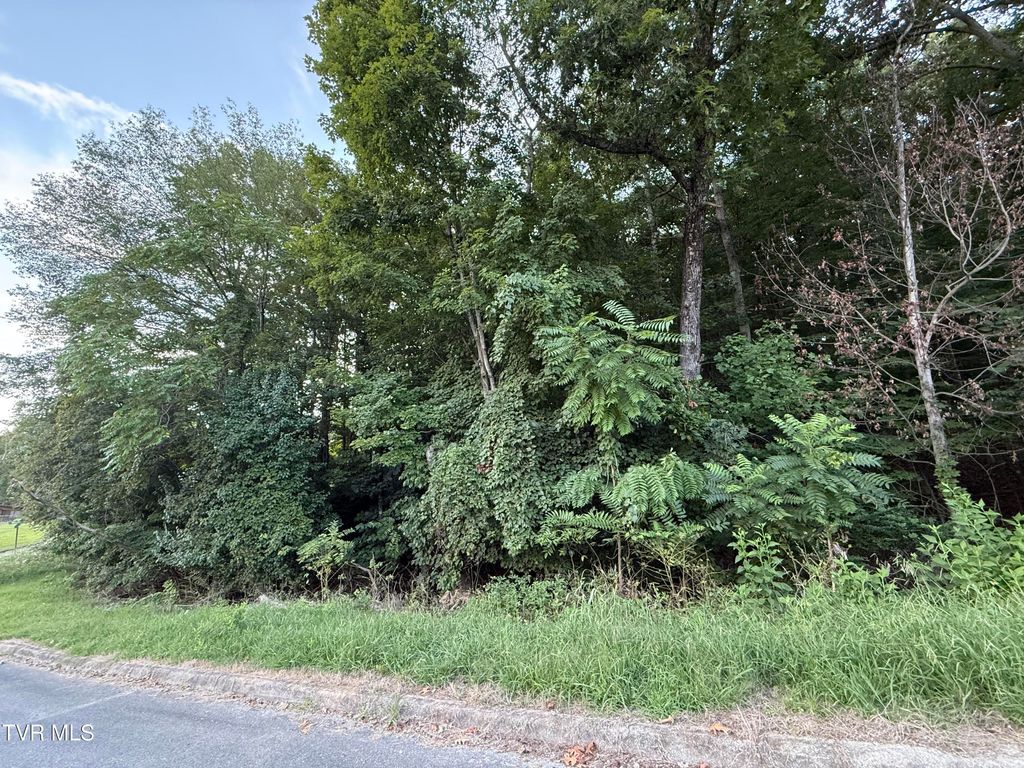 Photo of 0 Maywood &amp; Welch Drive, Kingsport, TN 37660 (MLS # 9984771)