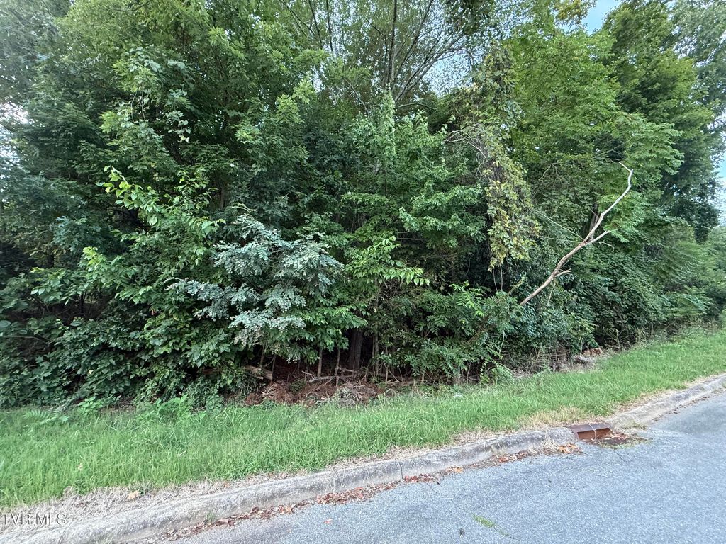 Photo of 0 Maywood &amp; Welch Drive, Kingsport, TN 37660 (MLS # 9984771)