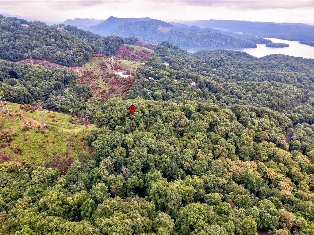 325 Mountain View Drive, Mooresburg, Tennessee image 6