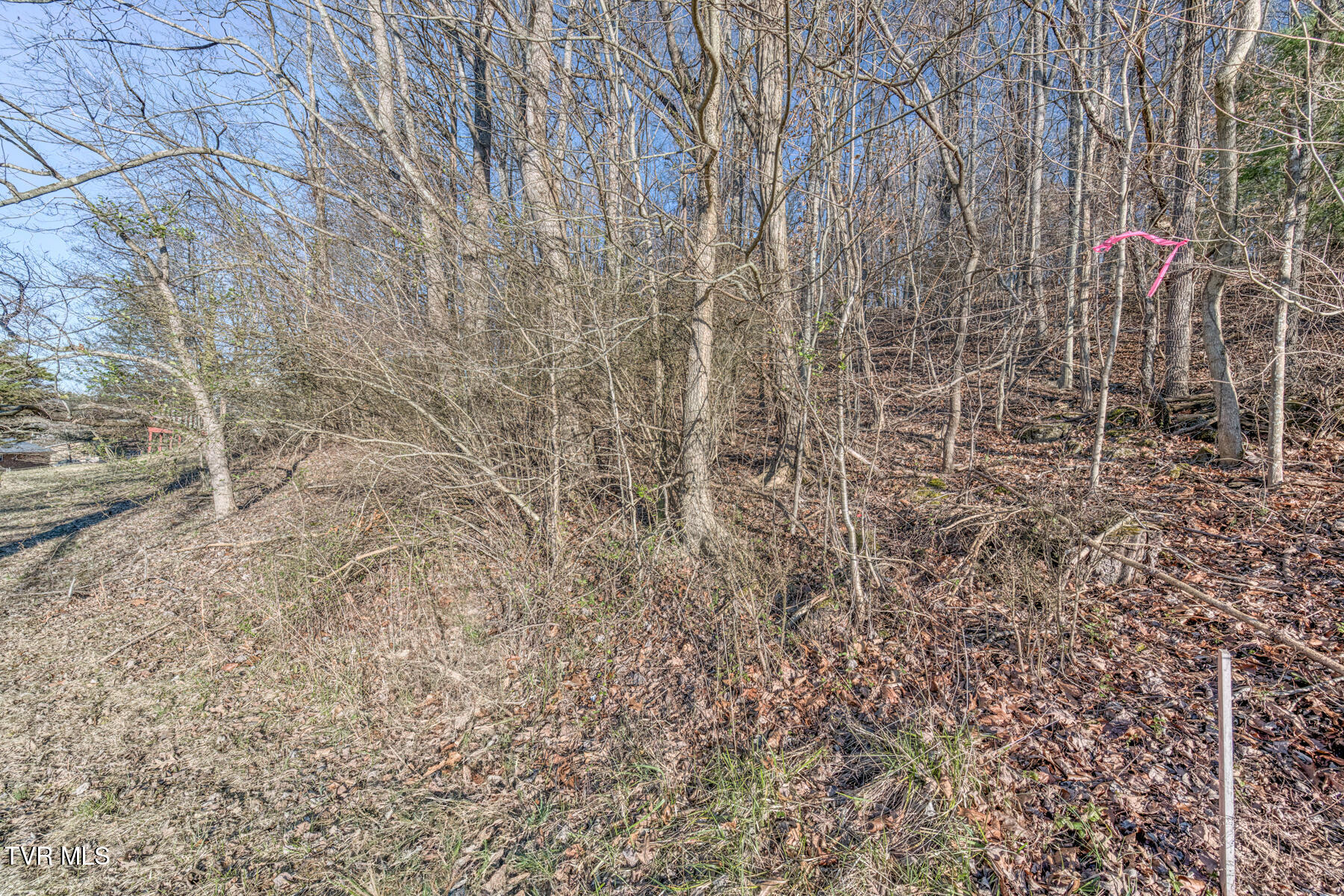 Tbd Crest Hills Drive, Chuckey, Tennessee image 8
