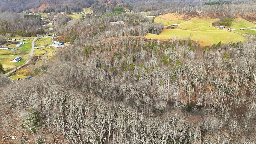 Photo of Tbd River Lane, Coeburn, VA 24230 (MLS # 9988799)