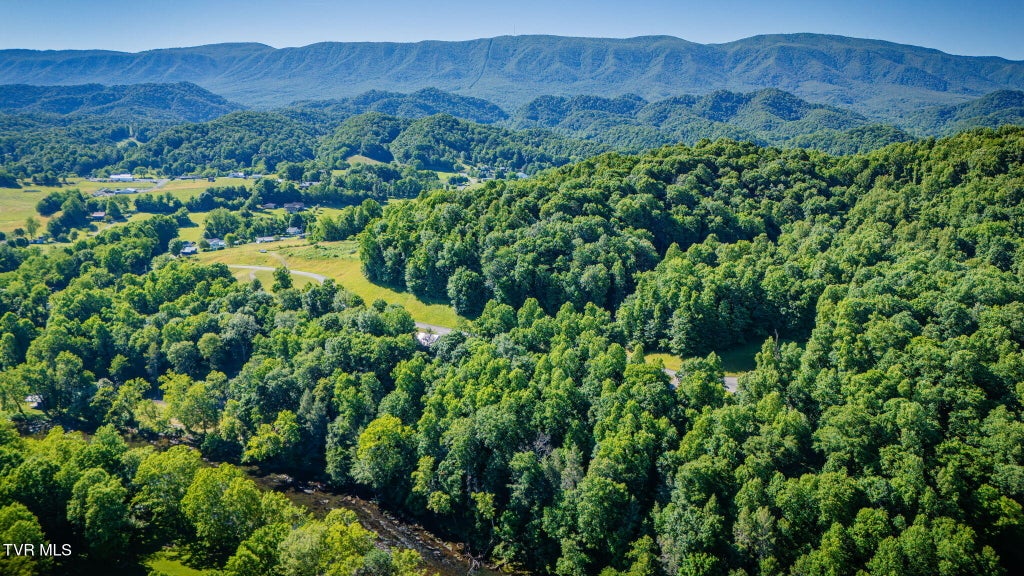Photo of 160170 Tailwater Road, Bluff City, TN 37618 (MLS # 9996405)