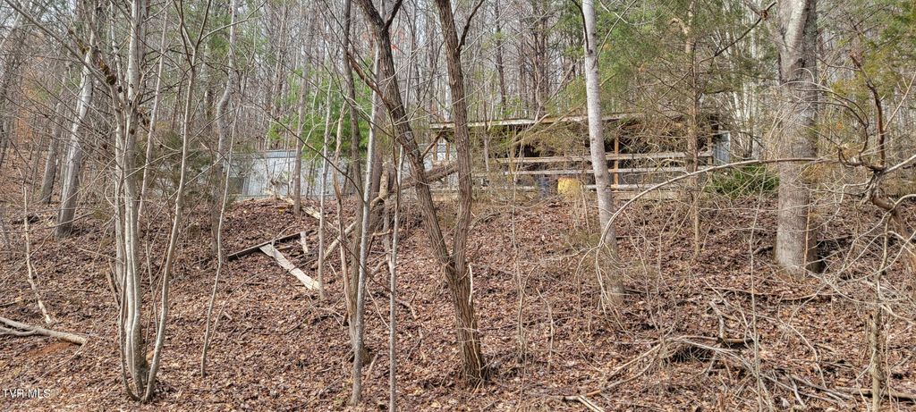 Photo of 1365 Stone Mountain Road, Bulls Gap, TN 37711 (MLS # 9991302)
