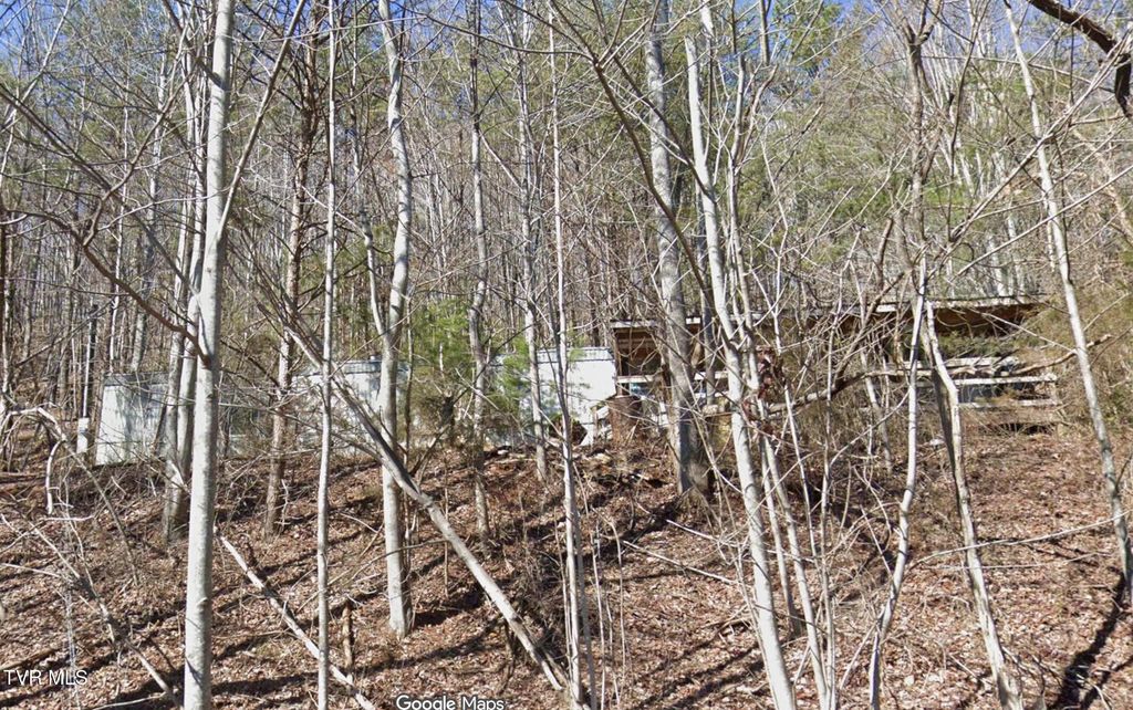 Photo of 1365 Stone Mountain Road, Bulls Gap, TN 37711 (MLS # 9991302)