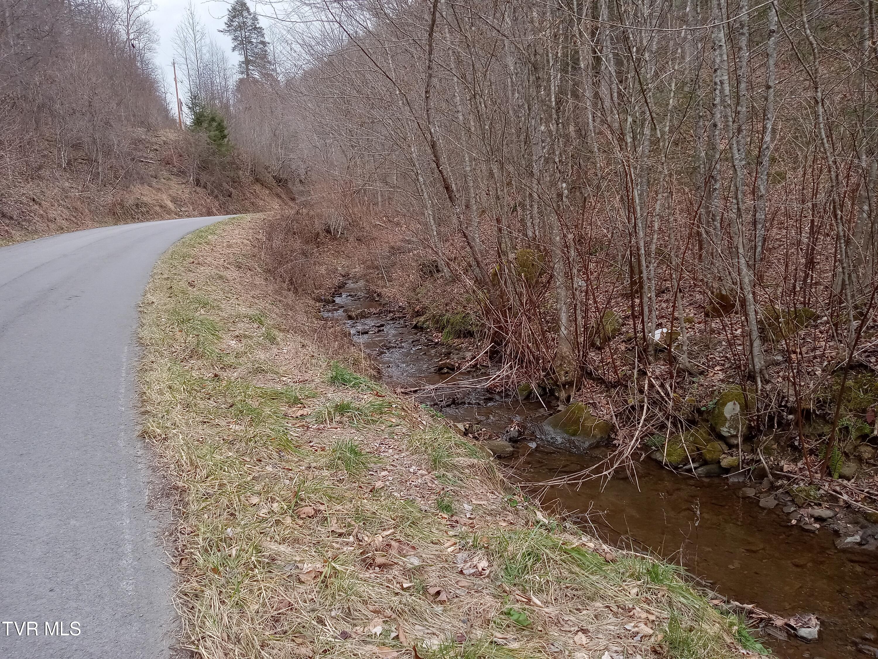 Tbd Old Wolf Road, Grundy, Virginia image 3