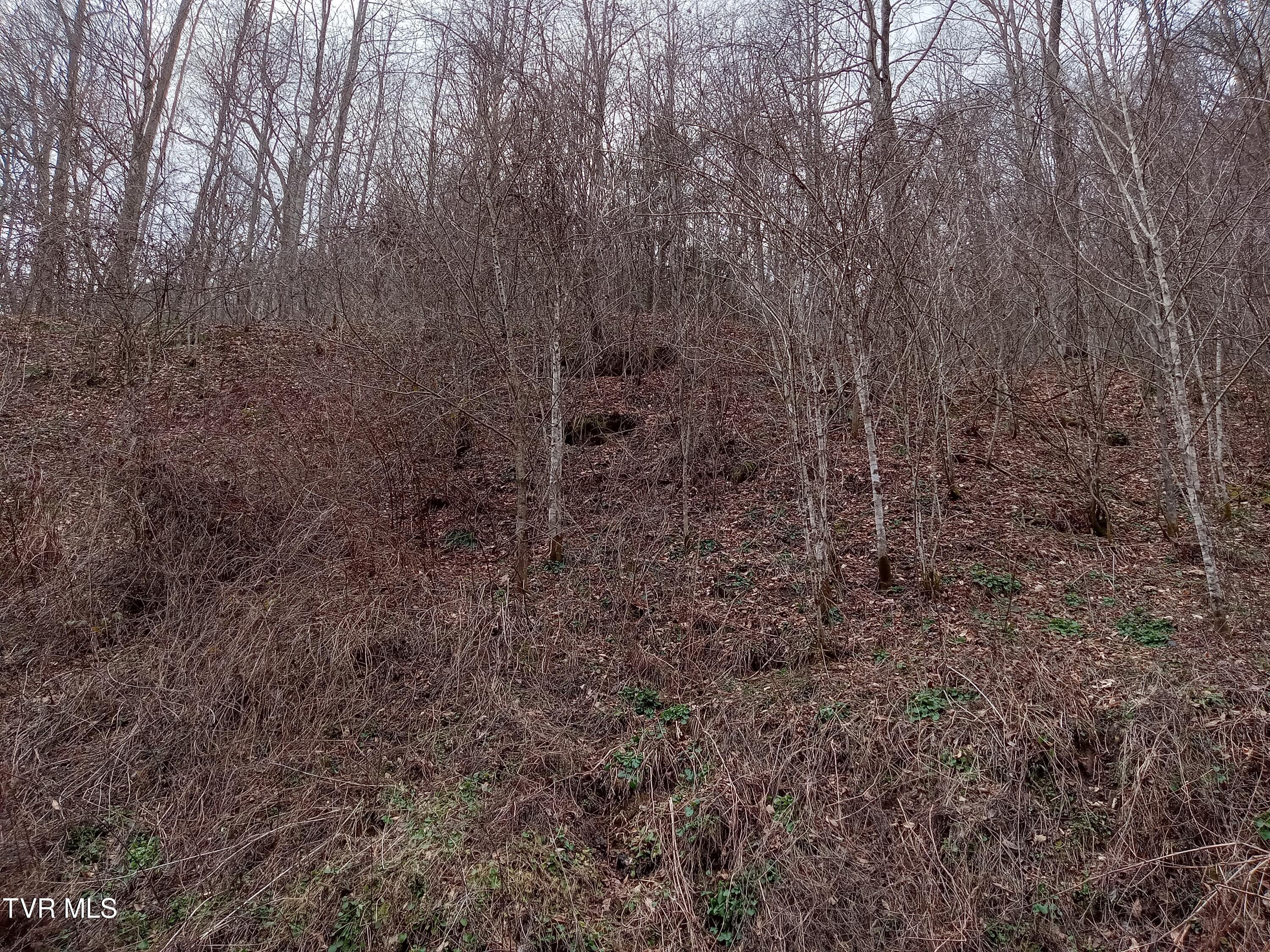 Tbd Old Wolf Road, Grundy, Virginia image 9