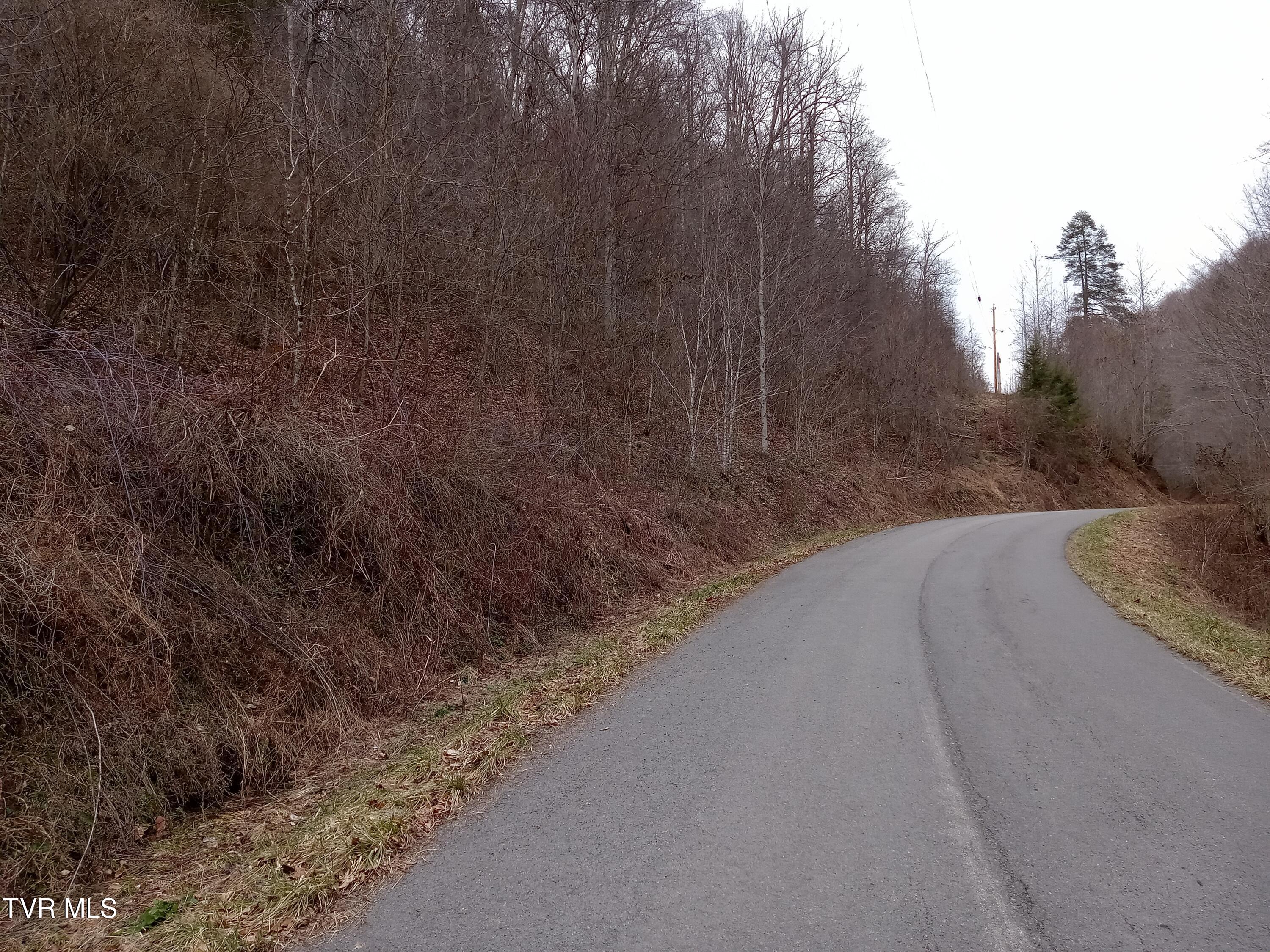 Tbd Old Wolf Road, Grundy, Virginia image 4
