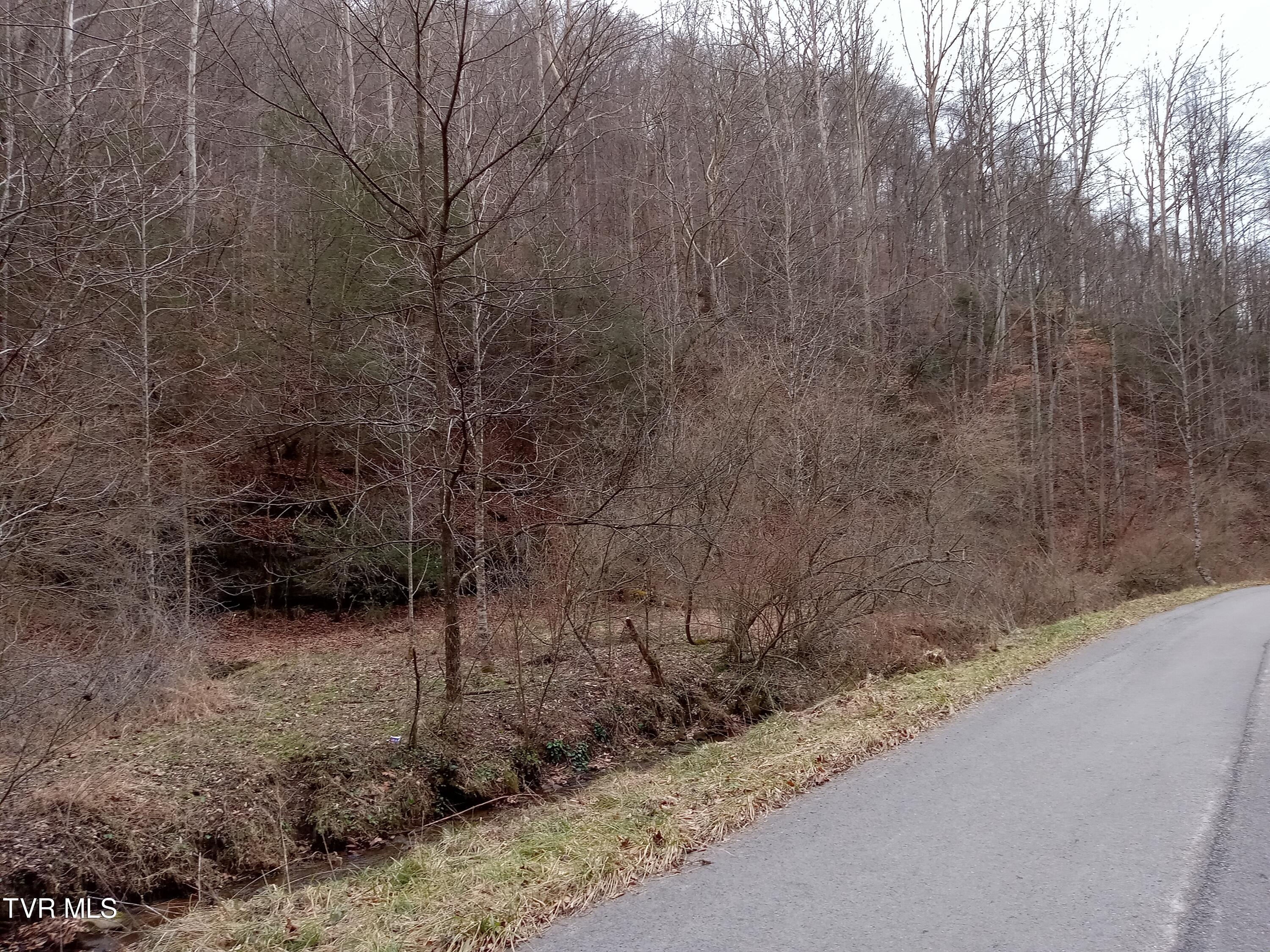 Tbd Old Wolf Road, Grundy, Virginia image 5