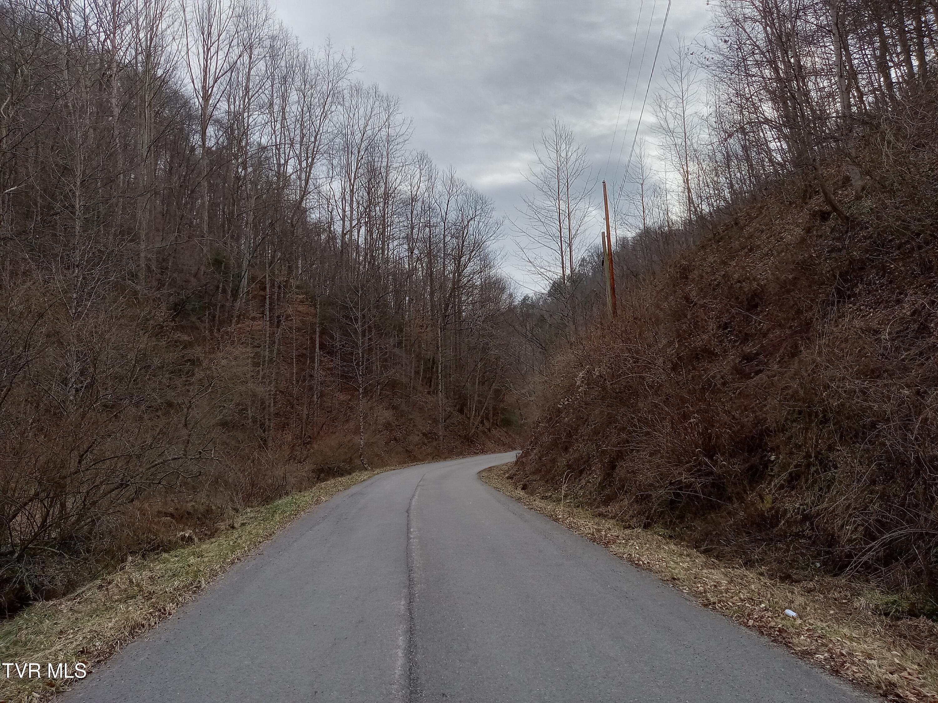 Tbd Old Wolf Road, Grundy, Virginia image 10