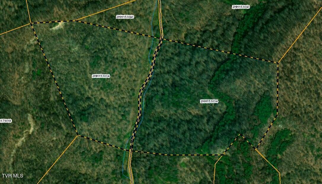 Tbd Old Wolf Road, Grundy, Virginia image 11