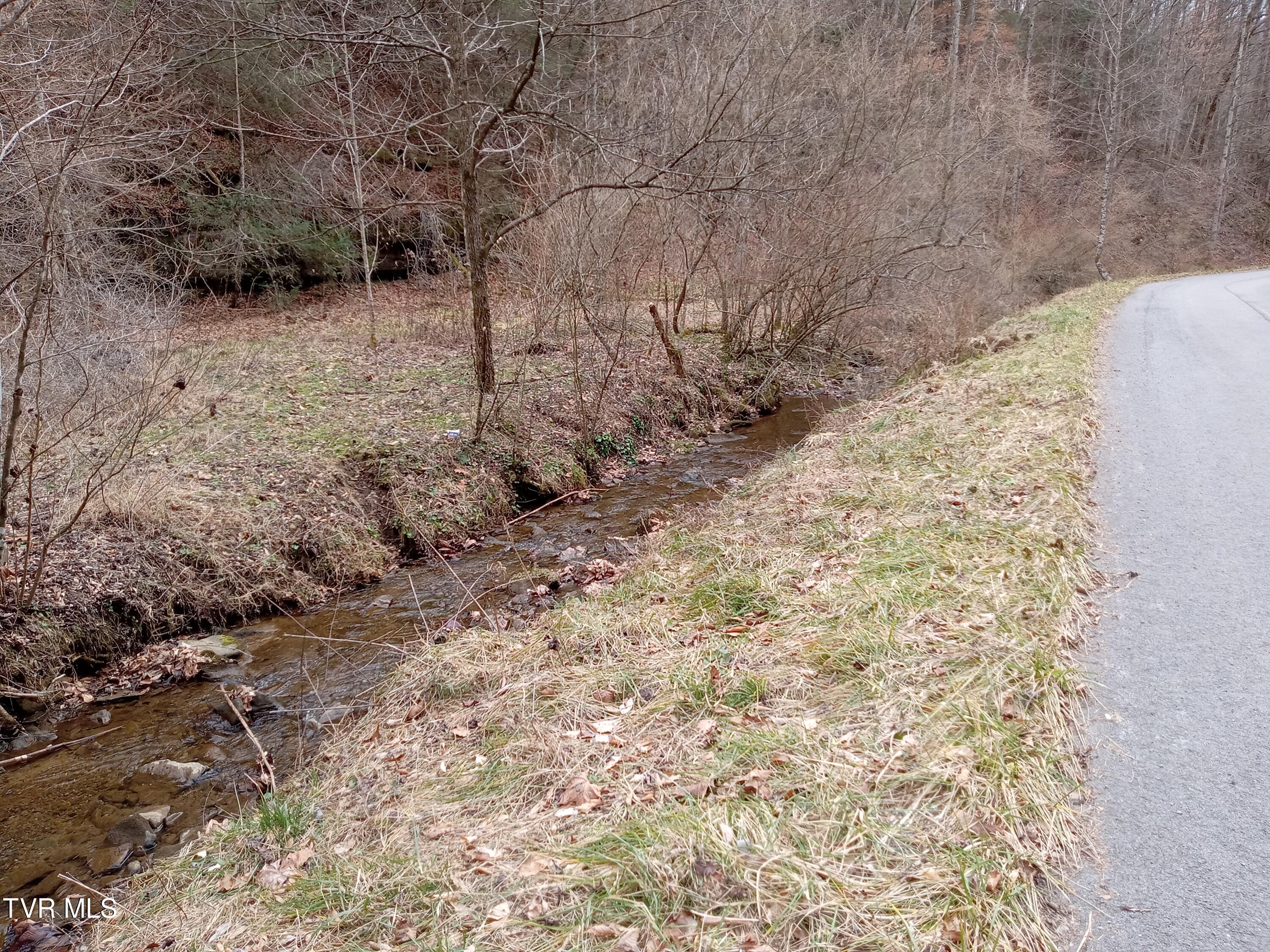 Tbd Old Wolf Road, Grundy, Virginia image 1