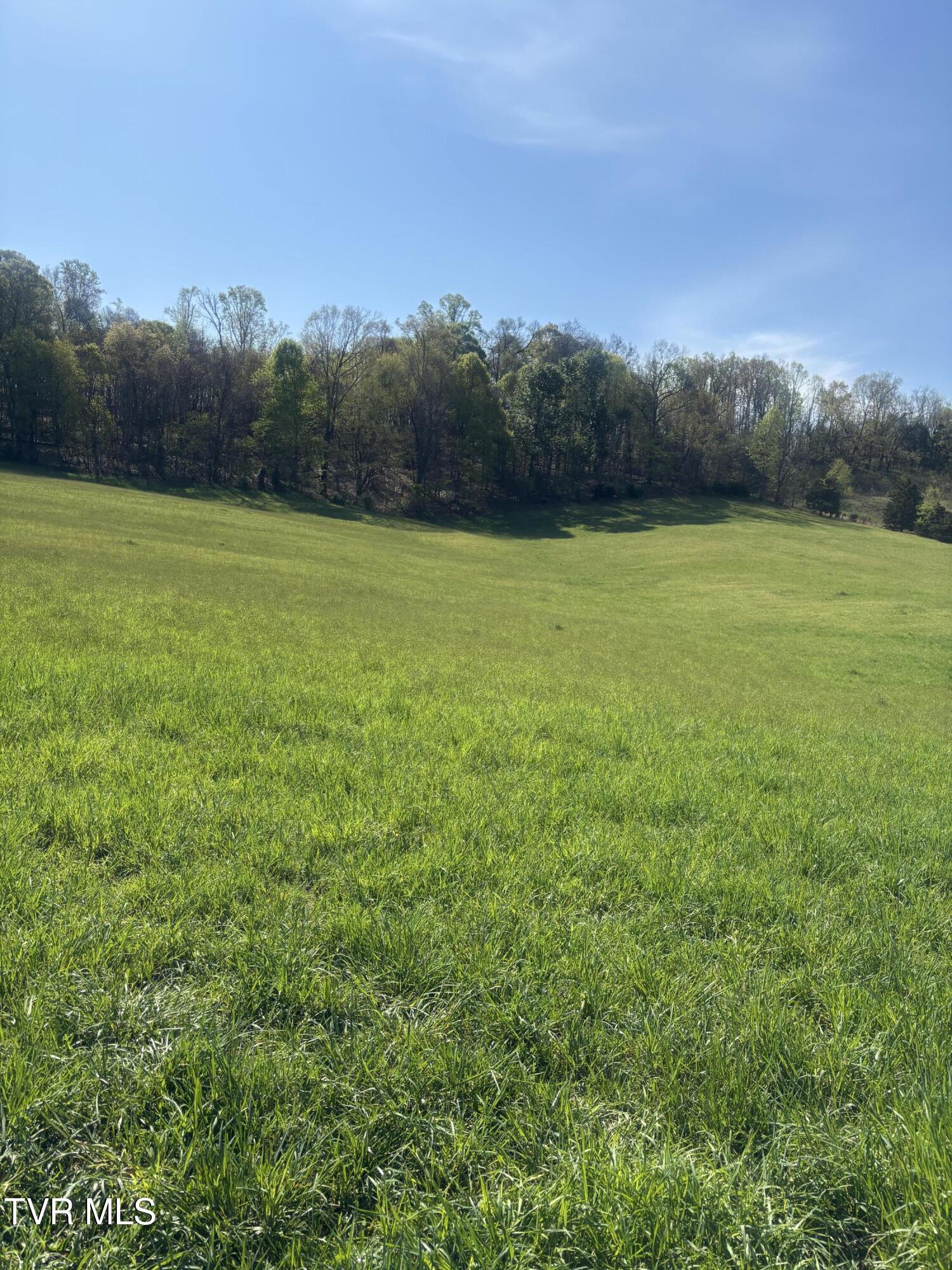 100 Hilbert Circle, Jonesborough, Tennessee image 15